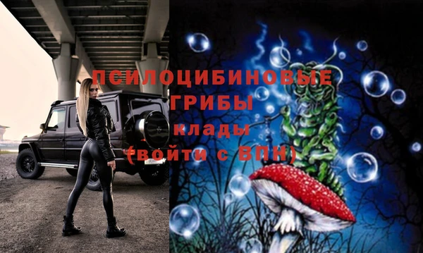 соль ск Алзамай