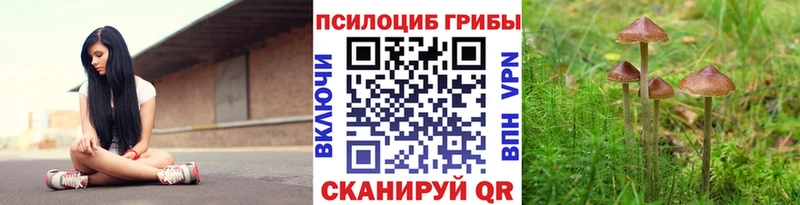 хочу наркоту  Набережные Челны  Псилоцибиновые грибы ЛСД 